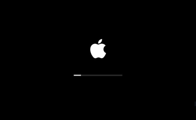 How to Run macOS 10.16 on VMware Player 15.5 with a Patched Unlocker