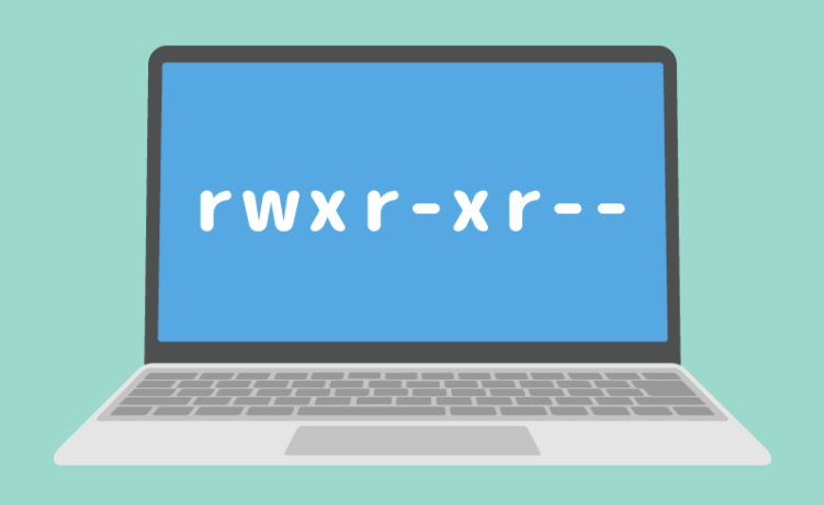 What Are File Permissions? A Beginner-Friendly Guide to How They Work