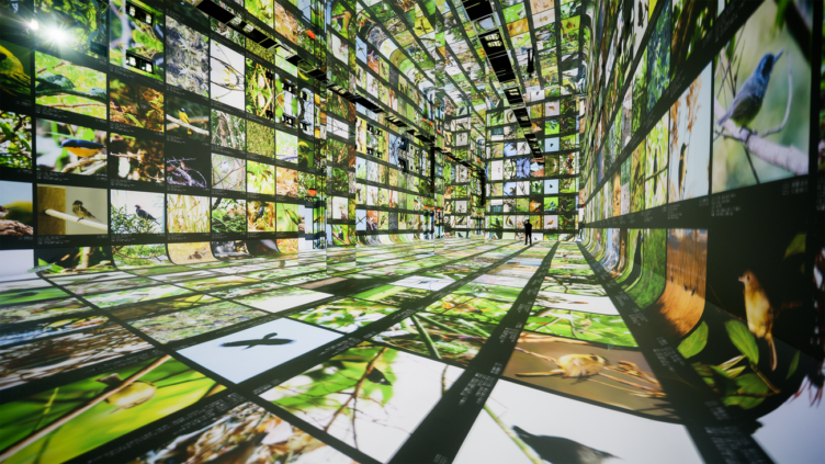 Google、世界初のAI美術館「Dataland」を稼働 Geminiとクラウドで生成アートを実時間描画