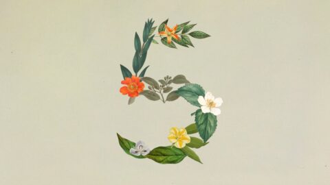 Anthropic 发布新模型「Claude Sonnet 5」 以更低价格逼近 Opus 4.8 性能