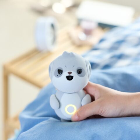シャープ「ポケとも」第2弾は“おれさま”タイプ 12月登場、2体で勝手におしゃべりも